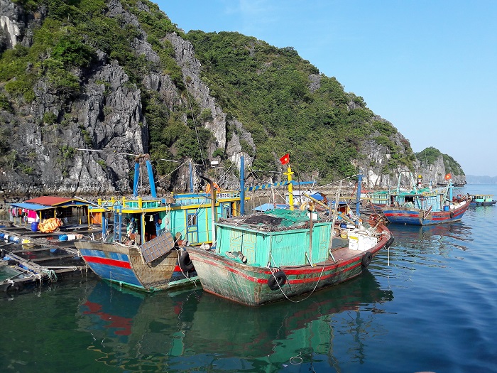 Baie Halong village pêcheurs 